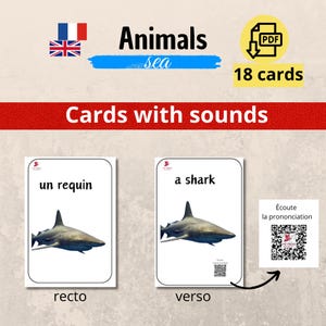 Cartes de vocabulaire Les animaux de la mer - Français / Anglais | QR CODE | Apprendre l'anglais en s'amusant | Format PDF