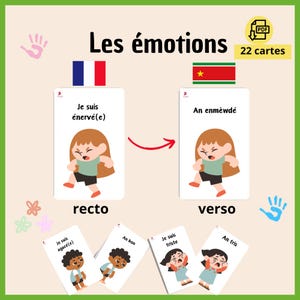 Cartes de vocabulaire  Les émotions - Français/Créole | Apprendre en s'amusant | Format PDF
