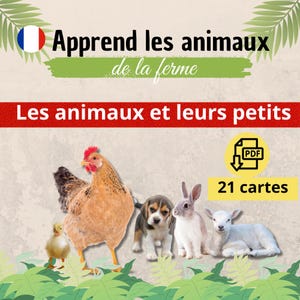 Cartes de vocabulaire Les animaux de la ferme - Français | Apprendre les animaux en s'amusant | Format PDF |  Images réalistes | Ludique