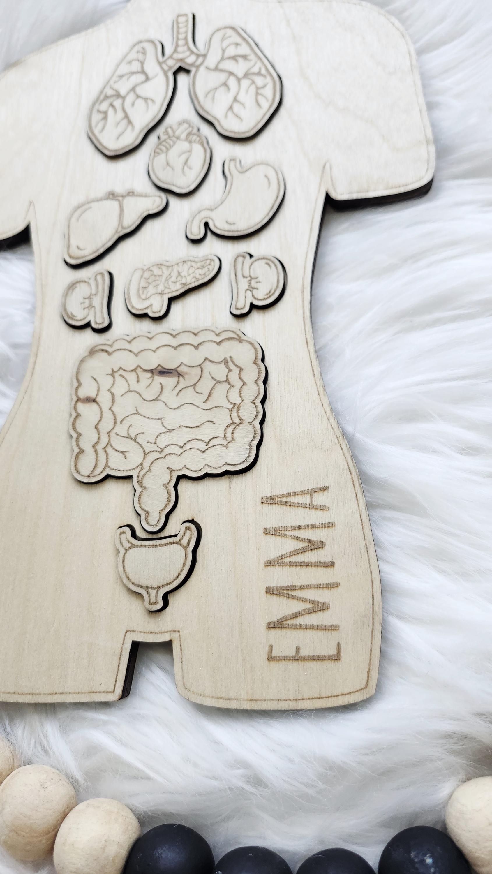 Wooden Human Body Anatomy Puzzle - Internal Organs - Montessori Toys ...