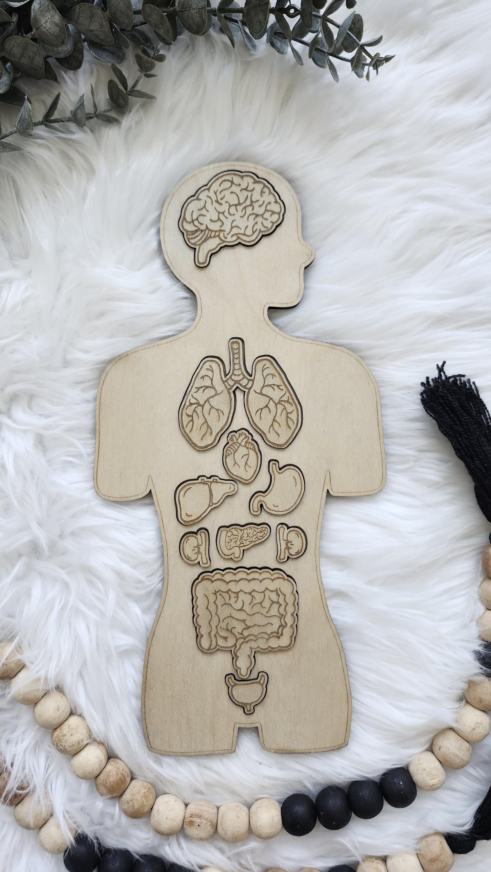 Wooden Human Body Anatomy Puzzle - Internal Organs - Montessori Toys ...