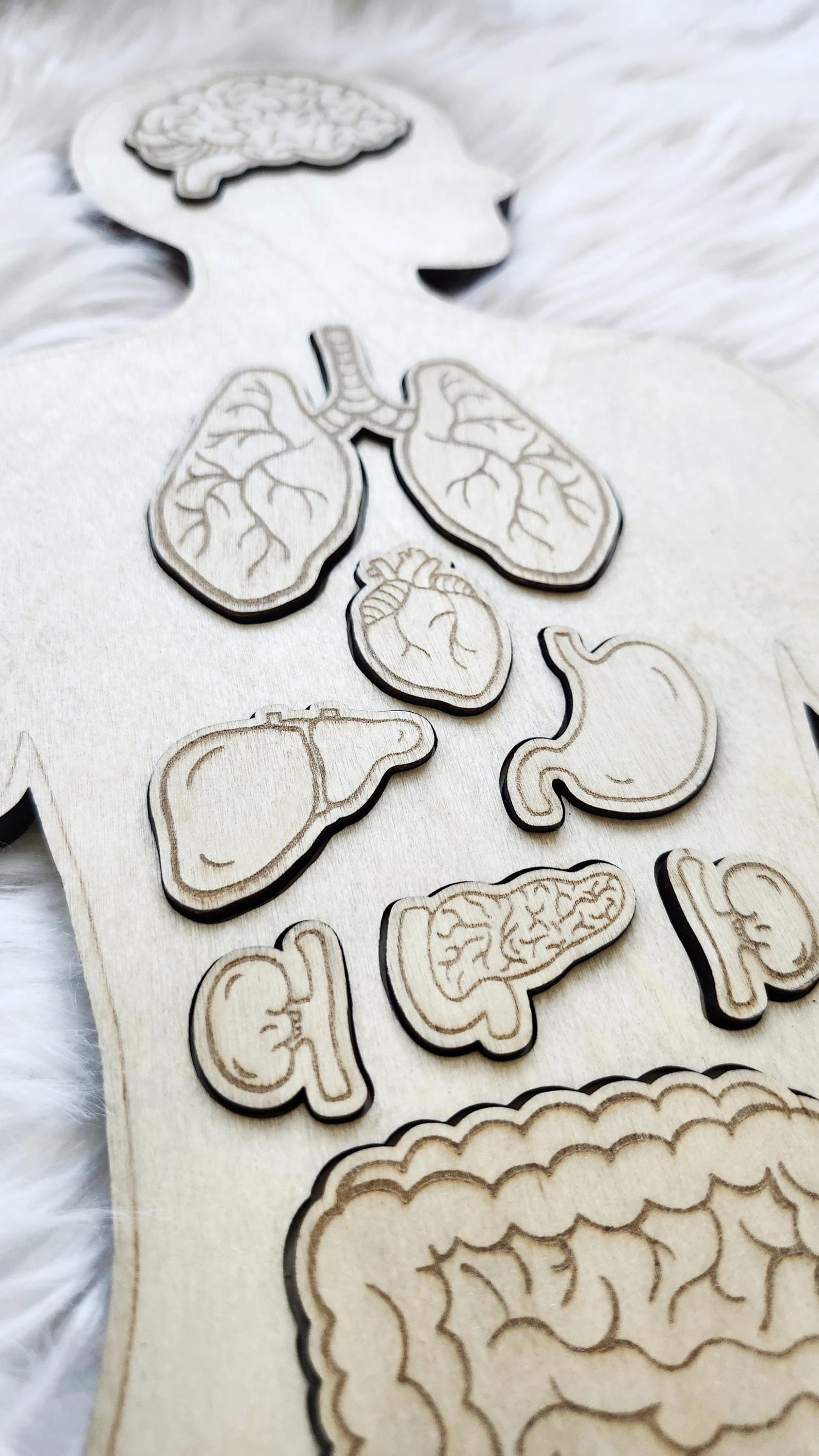 Wooden Human Body Anatomy Puzzle - Internal Organs - Montessori Toys ...
