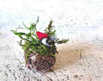 Miniature Dollhouse Fairy Garden Accessories Woodpecker Clay Home Decor 5 pcs Miniature Dollhouse Fairy Garden Accessories Woodpecker Clay Home Decor 5 pcs