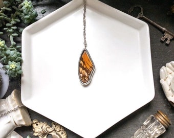 Real Butterfly Wing Gulf Fritillary Butterfly Wing Pendant. Orange Butterfly. Real Butterfly Jewelry. Nature Gift