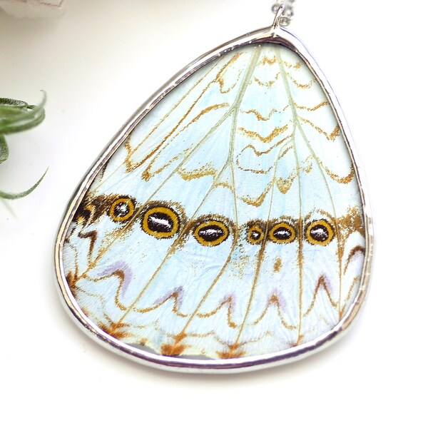 Real Mint Morpho Butterfly Wing Necklace Nature Jewelry Unique Gift for Girlfriend Teacher Gift Real Butterfly Jewelry