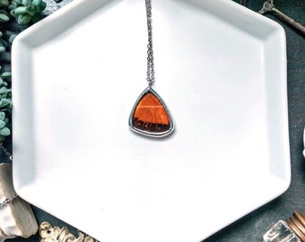Real Butterfly Wing Necklace Gulf Fritillary Butterfly Wing Pendant. Orange Butterfly. Real Butterfly Jewelry. Nature Gift