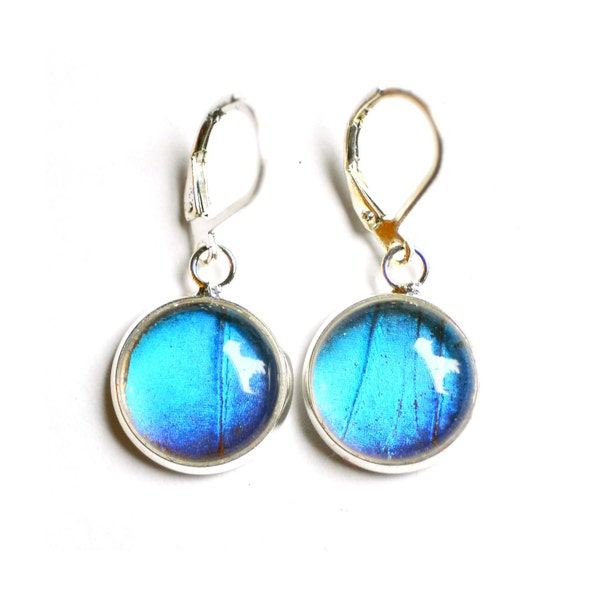 Real Butterfly Wing Earrings. Blue Morpho. Butterfly Dangle Earrings. Real Blue Morpho Butterfly Wing Jewelry. Bridesmaid Gift. Wedding Gift