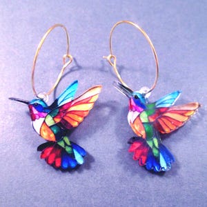 May include: A pair of hummingbird earrings. Each earring features a colorful hummingbird with blue, red, orange, and green wings and body. The earrings have gold-colored hoop closures.