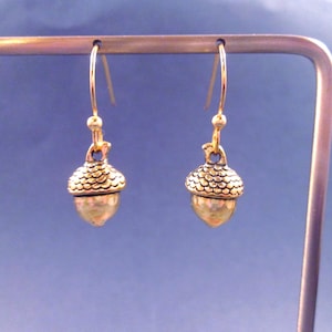 May include: A pair of gold-colored acorn earrings. Each earring features a detailed acorn cap and a smooth, rounded body. The earrings hang from delicate gold-toned ear wires, displayed against a blue background.