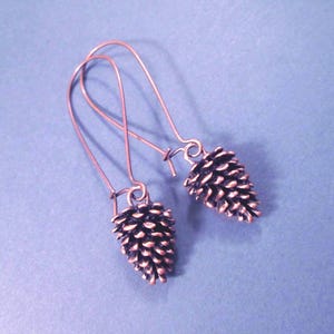 May include: Copper-colored earrings featuring a pine cone design. The earrings have long, curved ear wires and detailed pine cone pendants. The jewelry is set against a blue background.