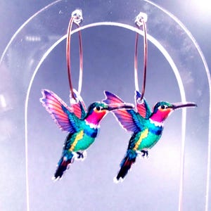 May include: A pair of hoop earrings featuring colorful hummingbird designs. The earrings showcase vibrant hues of pink, blue, green, and red, with detailed wings and long beaks. The earrings are suspended from thin, copper-colored hoops.