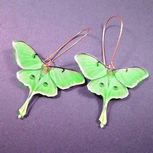Luna Moth Earrings, Green Acrylic Pendants, Long Gold Dangle Earrings, FREE Shipping