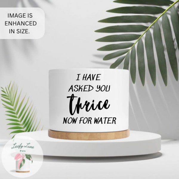 I Have Asked You Thrice For Water|Sassy Pot Sayings|Ceramic Plant Pot With Drainage|Cute Succulent Planter|Plant Gift for Her|Plant Puns