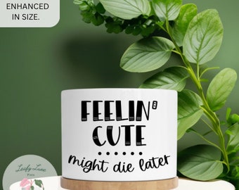 Feelin Cute Might Die Later|Sassy Pot Sayings|Ceramic Plant Pot With Drainage|Cute Planter|Plant Gift for Her|Plant Puns