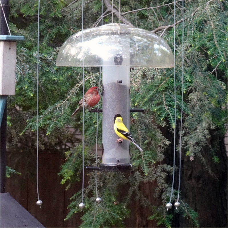 Bird Feeder House Outdoor - Etsy
