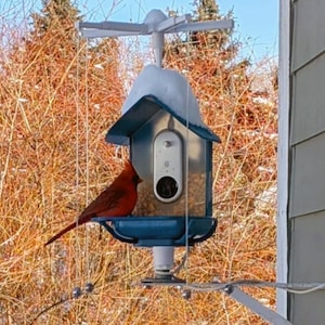 Protégez votre chargeur de caméra BirdBuddy(tm) avec Sparrow-B-Gone !  Produit amélioré bientôt disponible !  Pré-commandez maintenant.