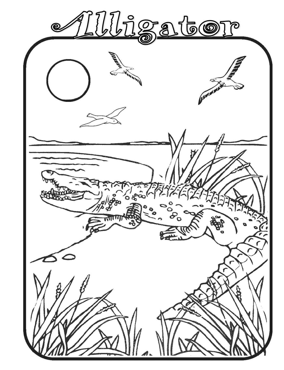 COLORING & Activity Pages ALLIGATOR Crocodile Dinosaur Swamp Zoo