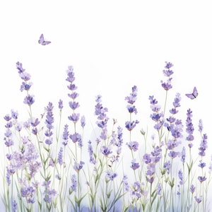 May include: Watercolor illustration of lavender flowers in shades of purple and green against a white background. Two purple butterflies are also present. The image has a soft, airy feel, evoking a sense of nature and tranquility.