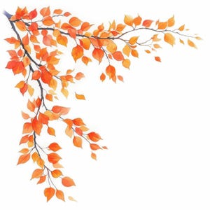 May include: A watercolour illustration of a tree branch adorned with orange and yellow leaves. The leaves are depicted in various stages of falling, evoking an autumnal atmosphere. The branch is dark brown against a white backdrop.