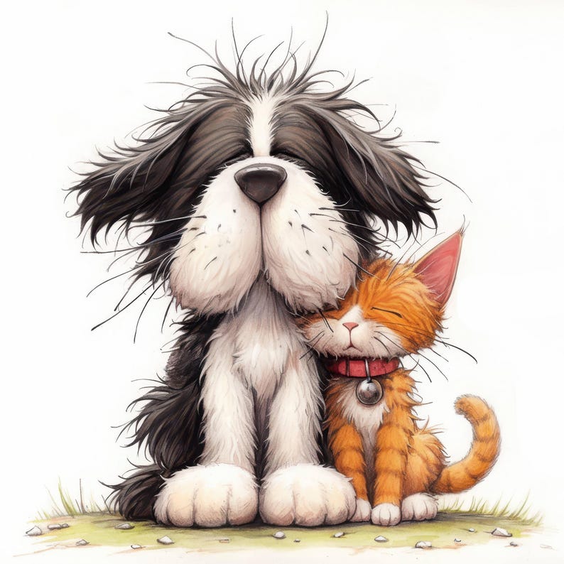 Op de afbeelding: Een zwart-witte hond met ruig haar knuffelt met een gemberkat. De hond heeft zijn ogen dicht en de kat kijkt naar de kijker. Beide dieren zitten op een witte achtergrond.