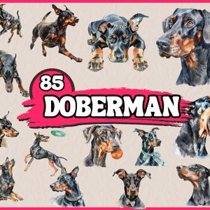 Aquarel Dobermann clipartbundel, hondenrassen Clip Art Set, dierlijke PNG-graphics, Dobermann digitale illustraties, transparante hondenafbeeldingen