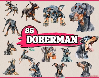 Watercolor Doberman Clipart Bundle, Dog Breeds Clip Art Set, Animal PNG Graphics, Dobermann Digital Illustrations, Canine Transparent Images