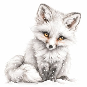10 Arctic Fox Clipart Bundle, Winter Fox Illustration, Printable Watercolor White Fox Clipart, High Quality JPG, Paper Craft, Junk Journals