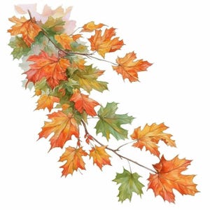 10 Falling Autumn Leaves Clipart Bundle, Oak Tree Illustration ...