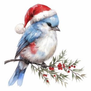 Lot de 13 cliparts oiseau d'hiver festif, illustration d'oiseau d'hiver, clipart aquarelle imprimable, JPG de haute qualité, créations en papier, journaux indésirables