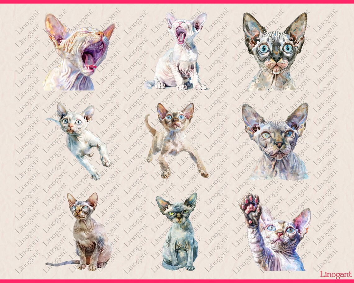 Devon Rex and Sphnyx Clipart Bundle, Cat Breed Clip Art Set, Watercolor ...
