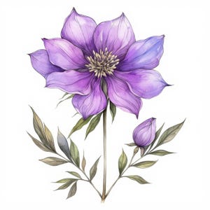 17 Purple Floral Clipart, Lavender and Violet Blossoms Wildflower, Printable Watercolor Clipart, High Quality JPG, Paper Craft, Junk Journal
