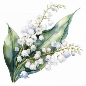 11 Lily of The Valley Clipart Bundle, White Flowers Illustration, Printable Watercolor Clipart, High Quality JPG, Paper Craft, Junk Journals