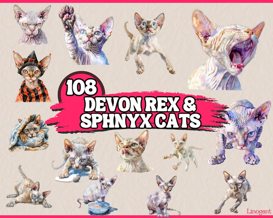 Watercolor Devon Rex and Sphnyx Clipart Bundle, Cat Breed Clip Art Set ...