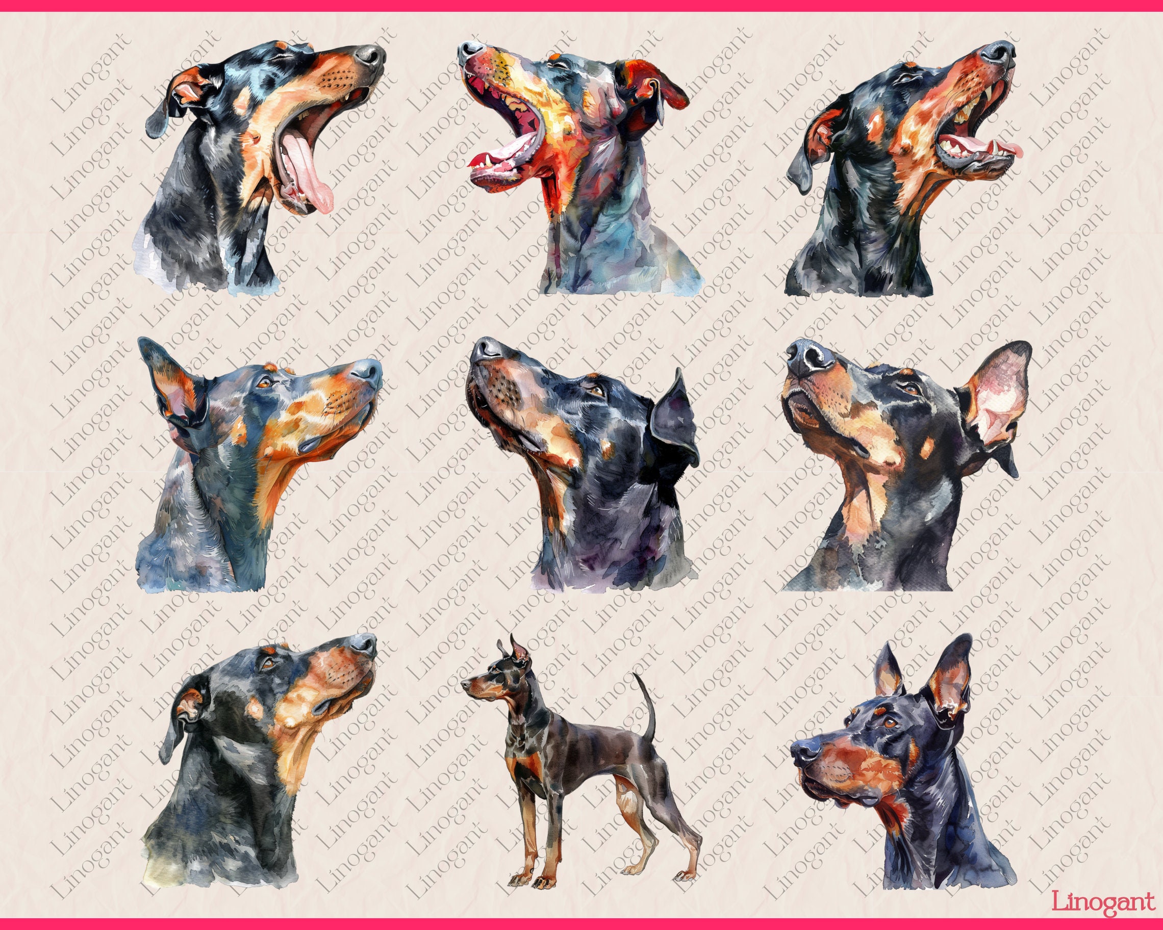 水彩ドーベルマン クリップアート バンドル、犬種のクリップアート