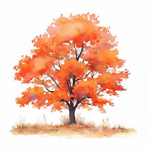 Puede incluir: Pintura a la acuarela de un árbol con hojas de color naranja y rojo vibrantes, sobre un fondo blanco. El árbol tiene un tronco y ramas de color marrón oscuro, con un toque de hierba seca en la base. La obra evoca un tema otoñal.
