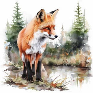 11 Fox In Forest Clipart Bundle, Forest Fox Illustration, Printable Watercolor Clipart, High Quality JPG, Paper Craft, Adorable Junk Journal