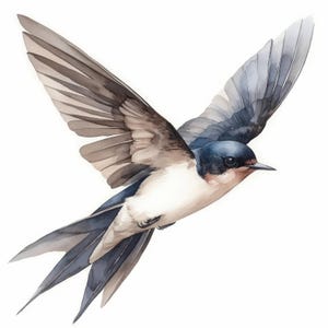 Pode incluir: Ilustração em aquarela de uma andorinha em voo. A ave tem peito branco, cabeça azul escura e asas com tons de cinza e marrom. As asas da andorinha estão abertas, mostrando suas penas.