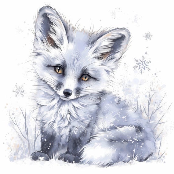 限定1000枚】Save the Arctic Fox 純銅 1oz 5枚 Arctic Fox Fun Facts