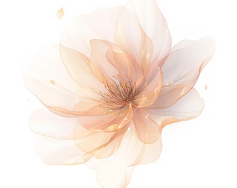 Op de afbeelding: Een delicate, doorschijnende bloem met zachte, perzikkleurige bloemblaadjes en een bruin centrum. De bloem is geïsoleerd op een witte achtergrond.