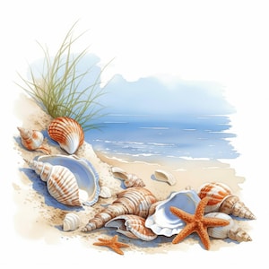 10 Coastal Shells Clipart Bundle, Beach Seashell Illustration, Printable Watercolor Clipart, High Quality JPG, Paper Craft, Junk Journals