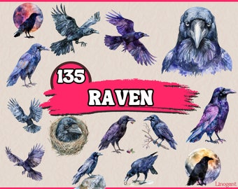 Watercolor Raven Clipart Bundle, Bird Species Clip Art Set, Animal PNG Graphics, Fantasy Night Crows Illustrations, Mystery Dark Bird Images