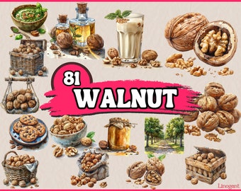 Watercolor Walnut Clipart Bundle, Walnut Nuts Clip Art Set, Box, Sack, Bowl of Walnuts, Digital Download, PNG Graphics, Digital Illustration