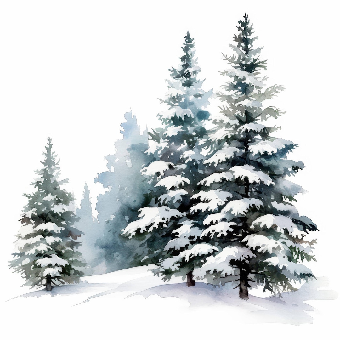 10 Winter Pine Forest Clipart Bundle, Snowy Trees Illustration ...