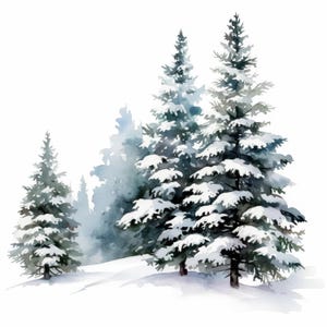 May include: Watercolor illustration of snow-covered evergreen trees. The image features several trees of varying sizes, with heavy snow accumulation on the branches. The background has a soft, misty effect, suggesting a winter landscape.