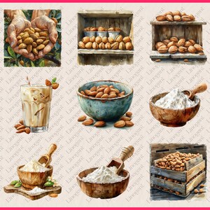 66 PNG Almond Clipart Bundle, Nuts Clip Art Set, Box, Sack, Bowl of ...