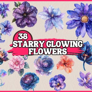 Pacote de clipart de flores brilhantes estreladas em aquarela, conjunto de clipart floral cósmico, estrela, constelação PNG gráficos, ilustração do espaço galáctico