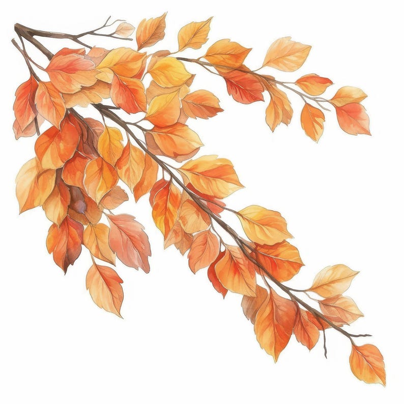 10 Falling Autumn Leaves Clipart Bundle, Oak Tree Illustration ...