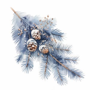 10 Frosty Evergreen Branch Watercolor Clipart, Winter Foliage Illustration, Printable Watercolor Clipart, High Quality JPG, Paper Craft