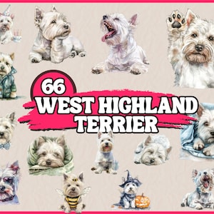 Aquarel West Highland Terrier clipart bundel, hondenrassen clip art set, dierlijke png-afbeelding, digitale afbeelding, commerciële hondenafbeeldingen
