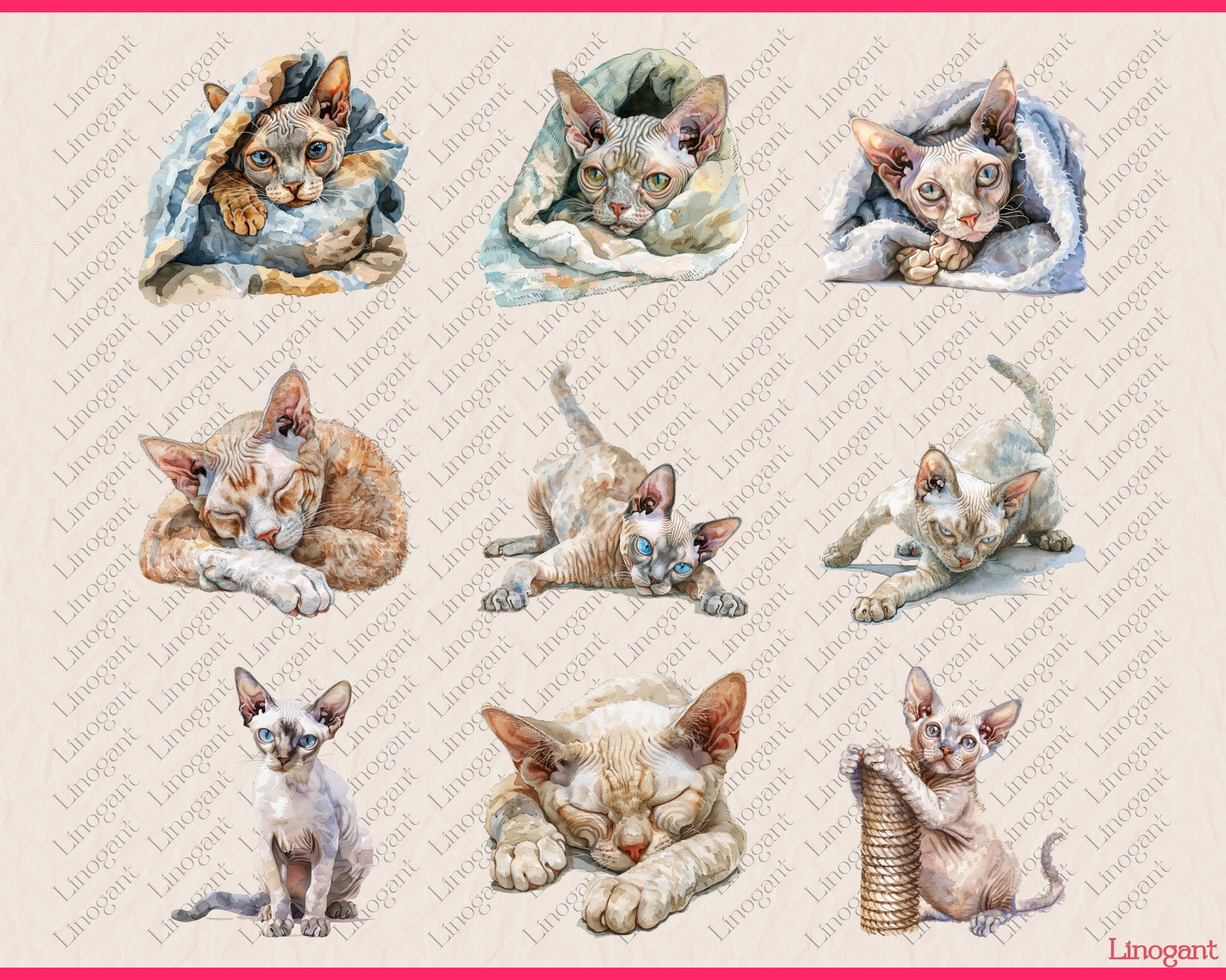 Devon Rex and Sphnyx Clipart Bundle, Cat Breed Clip Art Set, Watercolor ...